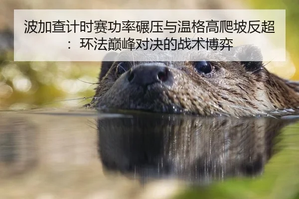 波加查计时赛功率碾压与温格高爬坡反超：环法巅峰对决的战术博弈