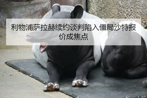 利物浦萨拉赫续约谈判陷入僵局沙特报价成焦点
