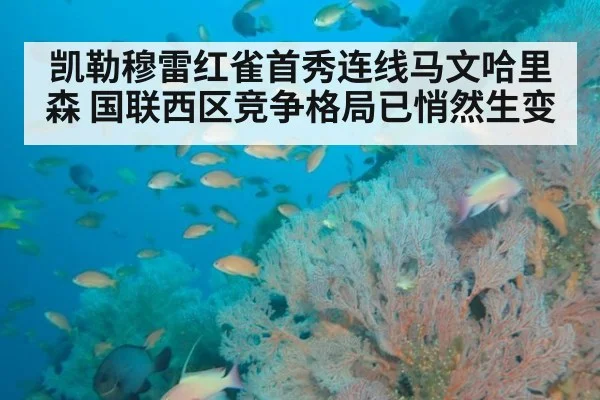 凯勒穆雷红雀首秀连线马文哈里森 国联西区竞争格局已悄然生变